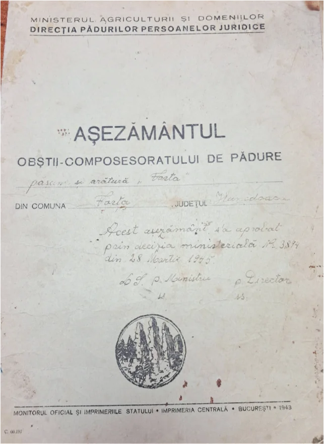 asociația vortana